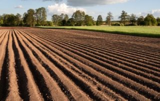 Vente de la nue-propriété et de l’usufruit d’un bien agricole