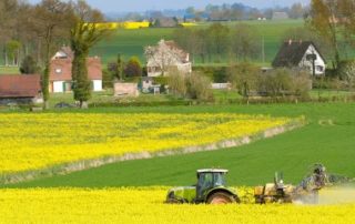 Agriculture : les réductions des zones de non-traitement retoquées par le Conseil constitutionnel !