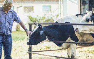 Les petites retraites agricoles revalorisées au 1 novembre !