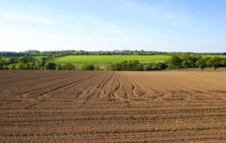 Le marché des terres agricoles en 2020