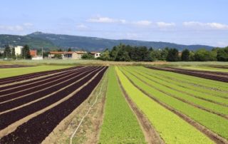 Bail rural : gare au départ de l’un des colocataires !