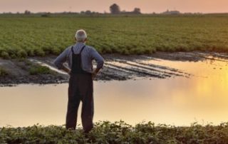 Agriculteurs victimes des inondations : une prise en charge de vos cotisations