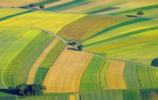 Quel prix pour les terres agricoles en 2020 ?