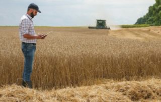 Renouvellement du bail rural : gare au respect du contrôle des structures !