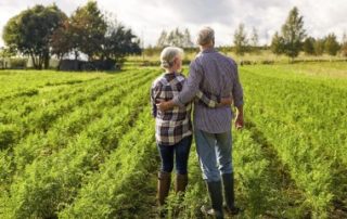 Non-salariés agricoles : une pension majorée revalorisée