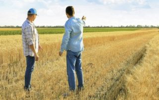 La prise de contrôle des sociétés agricoles soumise à autorisation !