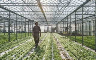 Plan de résilience : des aides pour soutenir l’agriculture