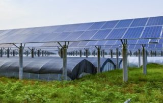 Vente d’une entreprise agricole dotée de panneaux photovoltaïques : quelle exonération fiscale ?