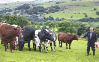 Crédit d’impôt pour congé de l’exploitant agricole : quels justificatifs ?