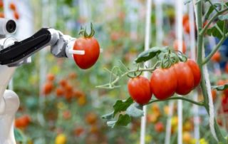 Aide à l’acquisition de matériels agricoles innovants