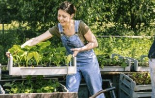 Du nouveau pour la protection sociale des non-salariés agricoles