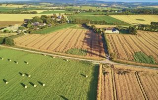 Le marché des terres agricoles en 2021