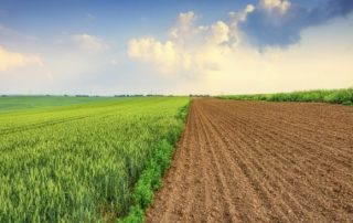 Quel prix pour les terres agricoles et viticoles en 2021 ?