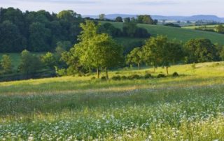 Un droit de préemption sur des terrains agricoles pour préserver la ressource en eau