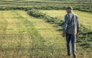 La reprise par le bailleur des terres louées après le décès du locataire