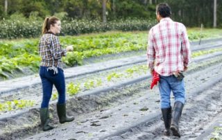 Renouvellement du bail rural au profit d’un seul des conjoints colocataires