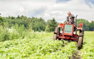 Du nouveau pour la fiscalité des exploitations agricoles