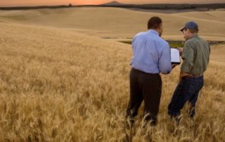 Les cessions de parts de sociétés agricoles détenant du foncier sous contrôle !