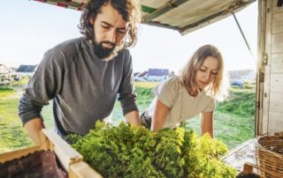 Jeunes agriculteurs : option pour le taux réduit de la cotisation Amexa