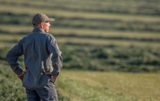 Bail rural : gare à la dissolution d’une société colocataire sans en informer le bailleur !