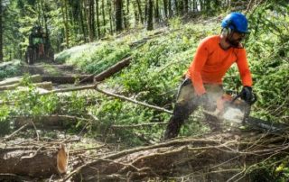 Agriculteurs : prorogation du taux de TVA à 10 % sur vos travaux forestiers