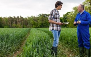 Quand un prêt à usage est requalifié en bail rural