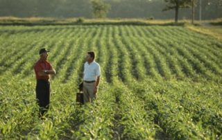 Apport du bail rural à une société : gare à l’accord préalable du bailleur !