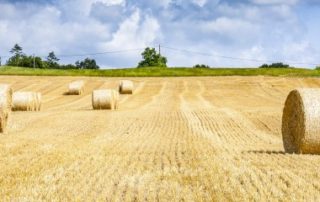 Baux ruraux : forte hausse du montant des fermages