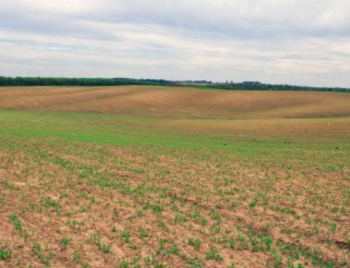 Le prix des terres agricoles et viticoles en 2023