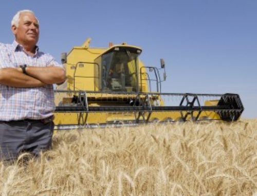 Bail rural : gare au recours à une entreprise de travaux agricoles !