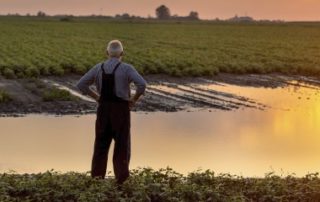 Des dégrèvements de taxe foncière pour les agriculteurs victimes d’une perte de récoltes