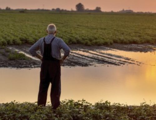 Des dégrèvements de taxe foncière pour les agriculteurs victimes d’une perte de récoltes