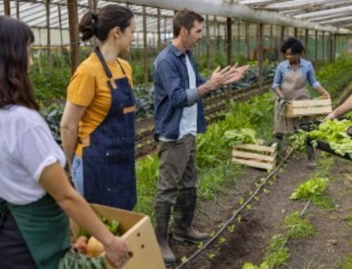 Les associations agricoles employeuses en 2023