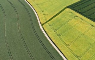 Échange de parcelles agricoles : les droits du locataire