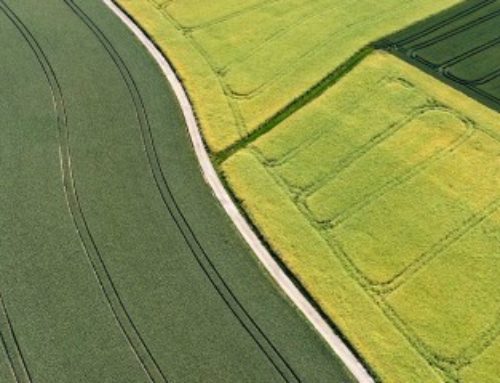 Échange de parcelles agricoles : les droits du locataire