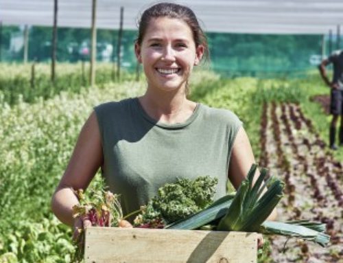 Exploitants agricoles : fixation du montant définitif 2024 de plusieurs aides Pac