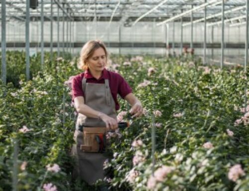 Activités agricoles exonérées de CFE : à condition que l’activité soit agricole !