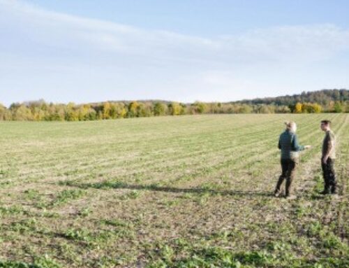 Préemption de la Safer sur une parcelle agricole : le droit du vendeur de se retirer