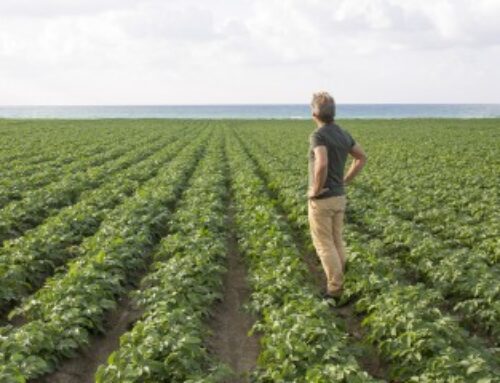 Violation du droit de préemption de l’exploitant agricole : quel délai pour contester ?