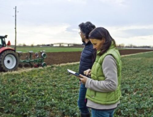 Acquisition de parcelles agricoles par substitution aux droits d’une Safer : du nouveau !