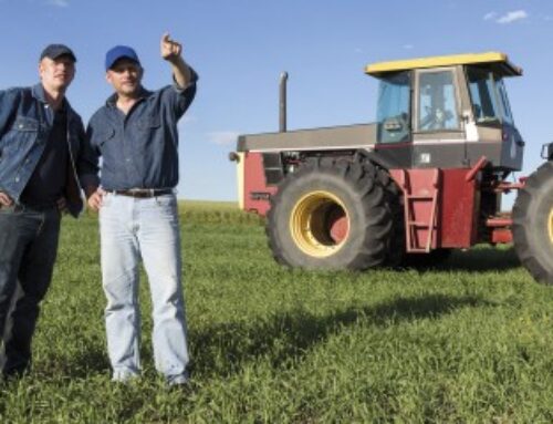 Un train de mesures destinées à soutenir le secteur agricole